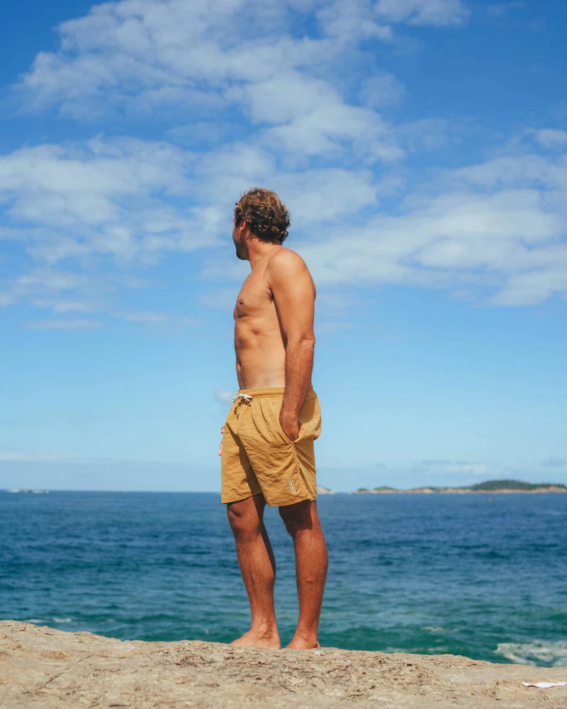 Boardshort TVB Jam Sesh Caqui